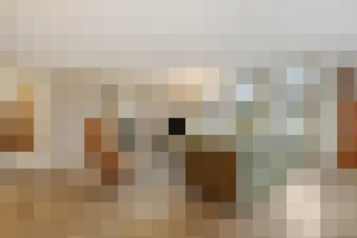 Kasteel-Noord 2 Helmond thumbnail 14