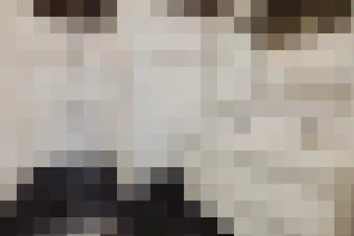 Kasteel-Noord 2 Helmond thumbnail 21