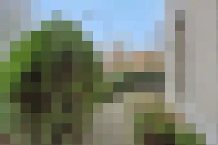 Kasteel-Noord 2 Helmond thumbnail 32