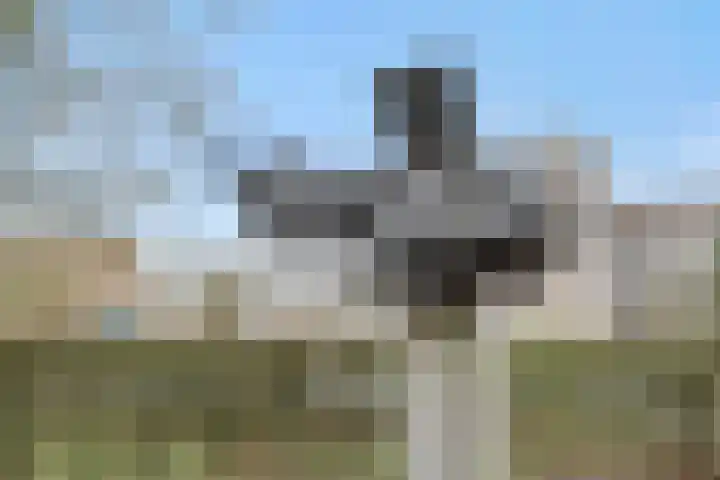 Kasteel-Noord 2 Helmond thumbnail 35