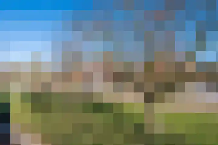 Kasteel-Noord 5 Helmond thumbnail 31