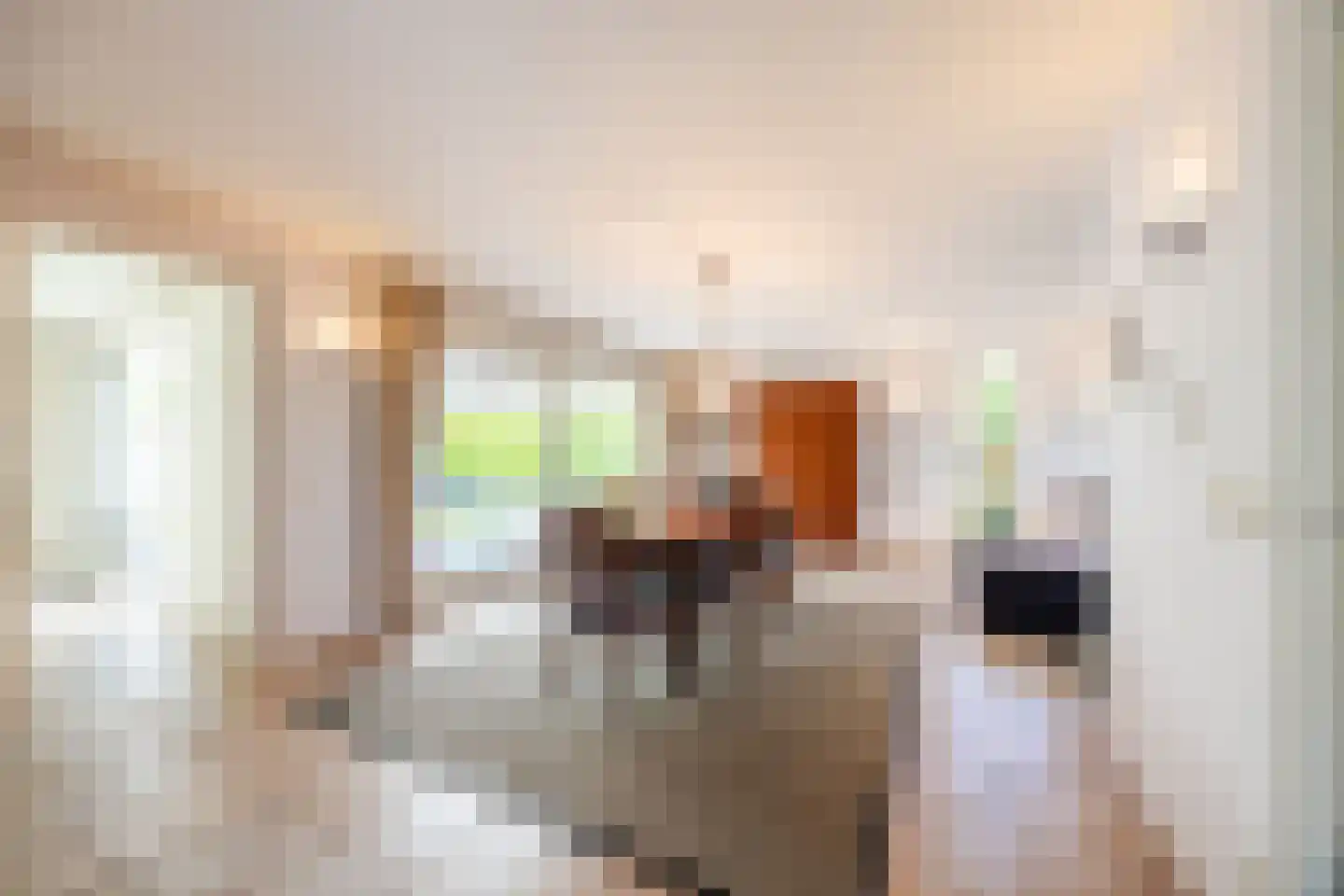 Kasteel Rhoonhof 1 Tilburg thumbnail 11