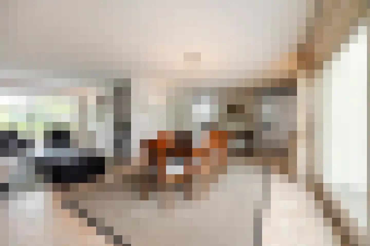 Kasteel Rhoonhof 1 Tilburg thumbnail 12