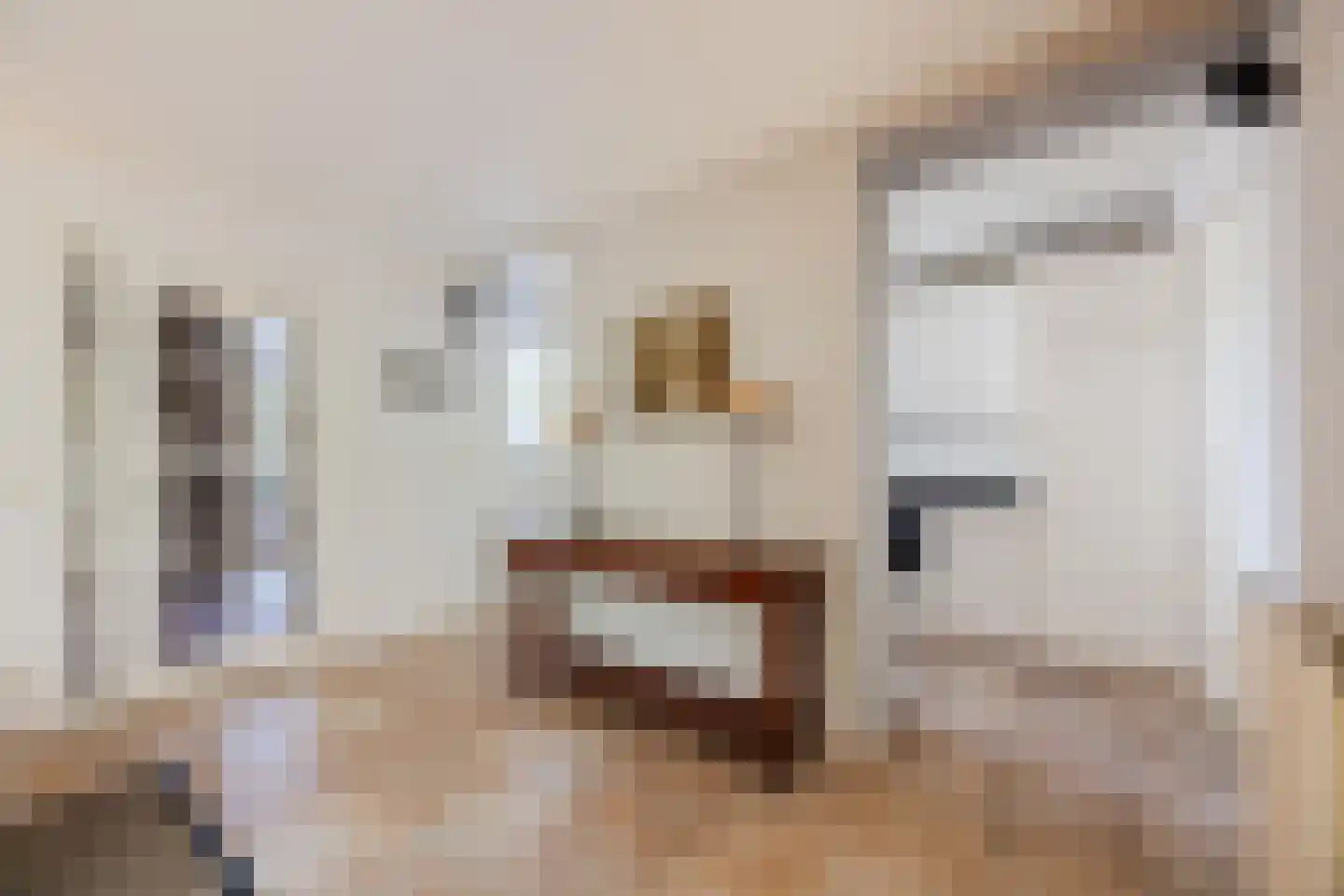 Kasteel Rhoonhof 1 Tilburg thumbnail 14