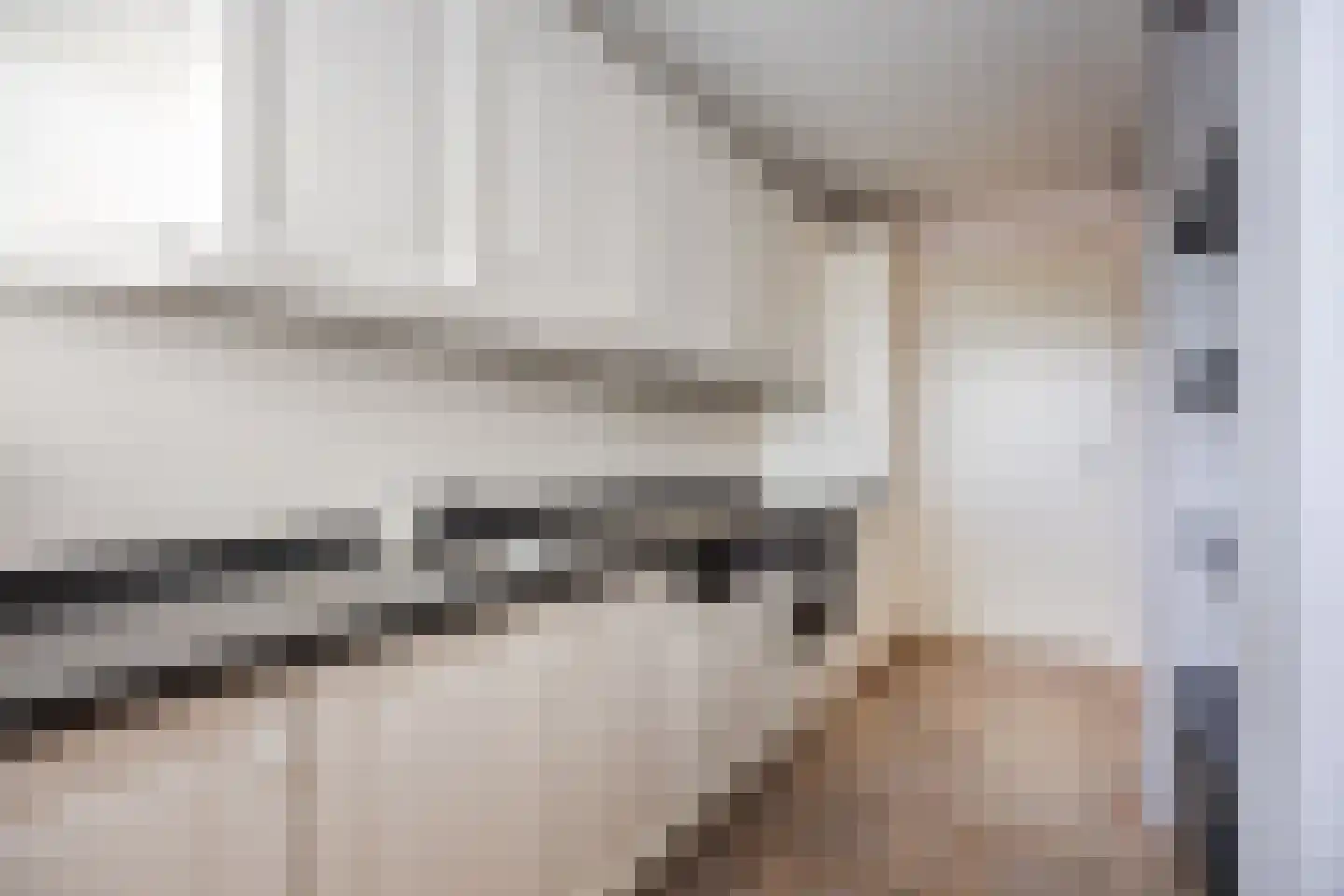 Kasteel Rhoonhof 1 Tilburg thumbnail 17