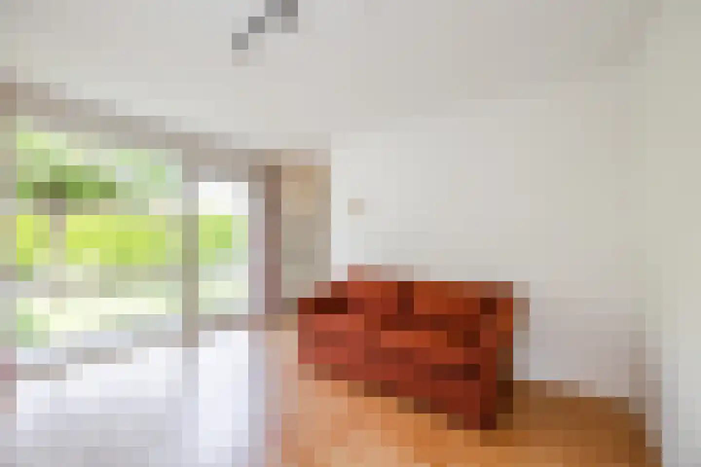 Kasteel Rhoonhof 1 Tilburg thumbnail 20