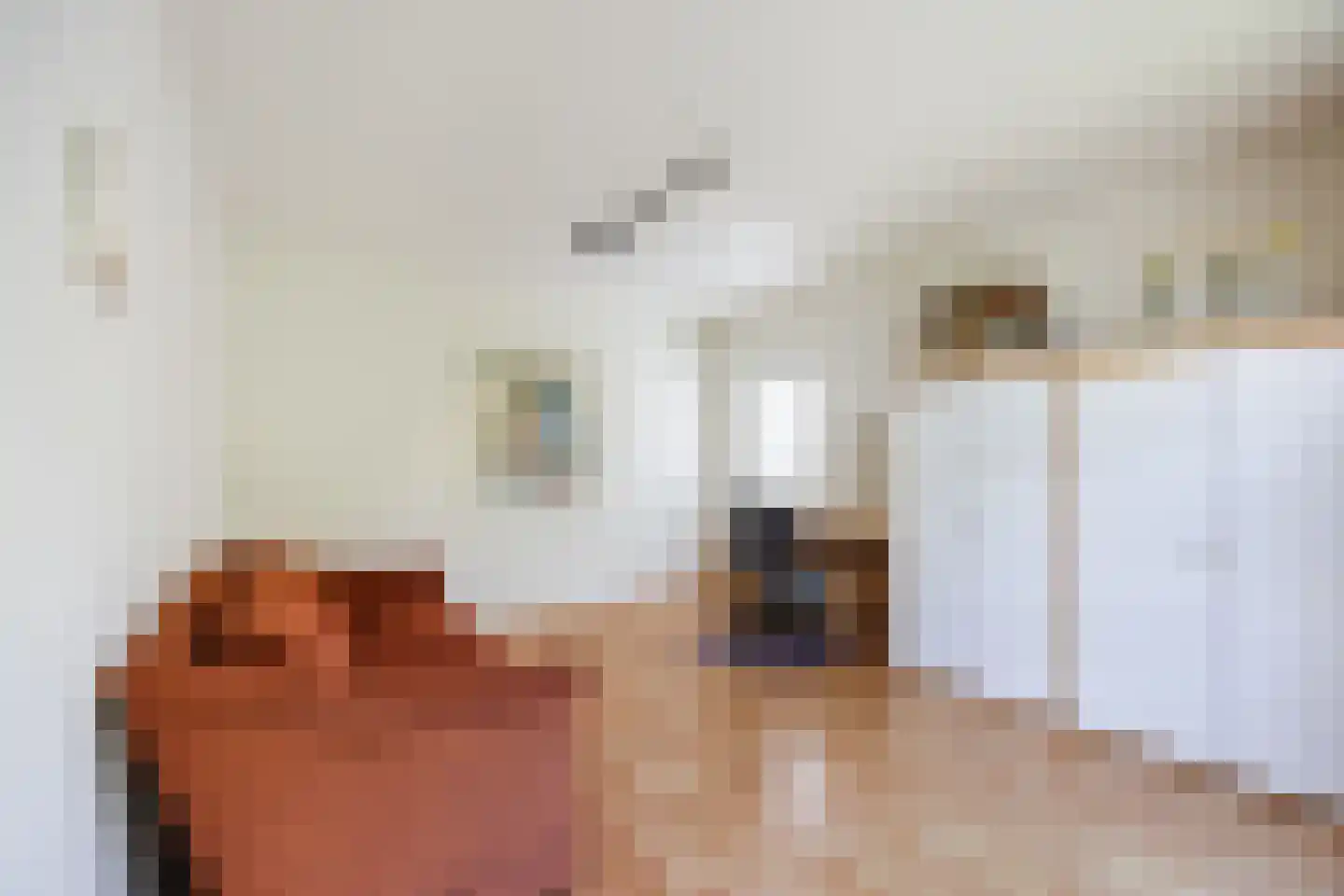 Kasteel Rhoonhof 1 Tilburg thumbnail 21