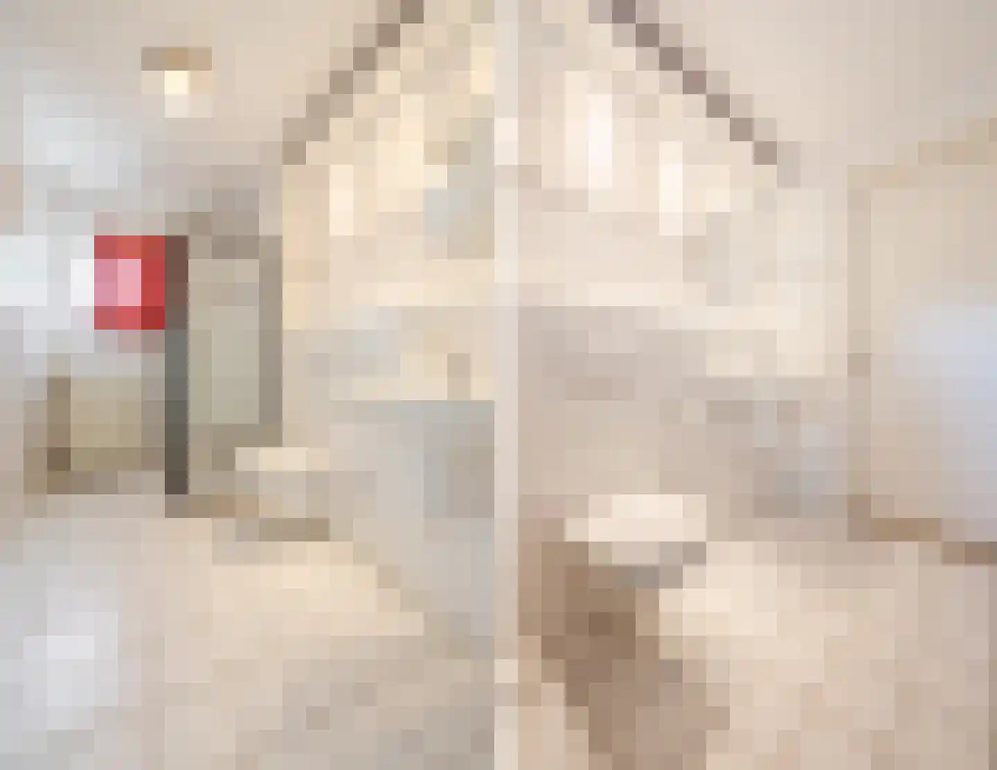 Kasteel Rhoonhof 1 Tilburg thumbnail 22