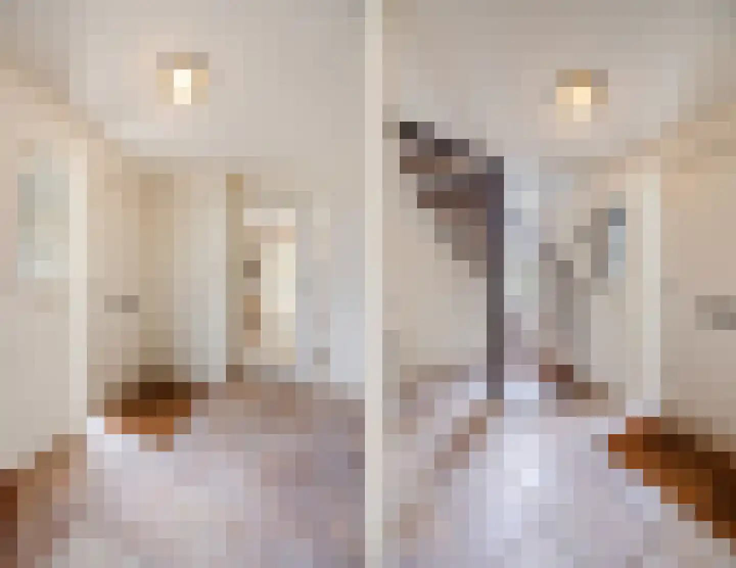 Kasteel Rhoonhof 1 Tilburg thumbnail 23