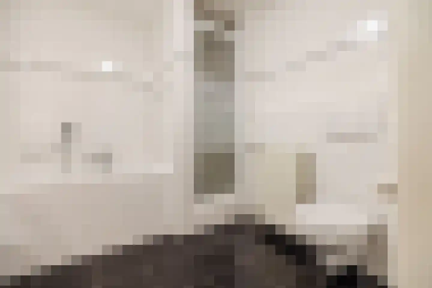 Kasteel Rhoonhof 1 Tilburg thumbnail 27