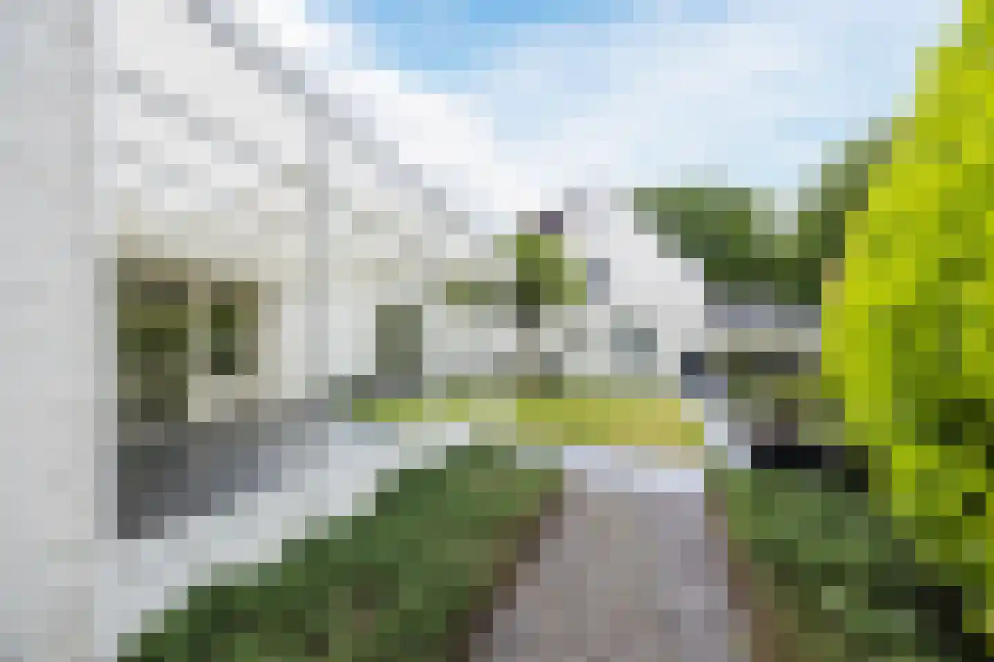 Kasteel Rhoonhof 1 Tilburg thumbnail 41