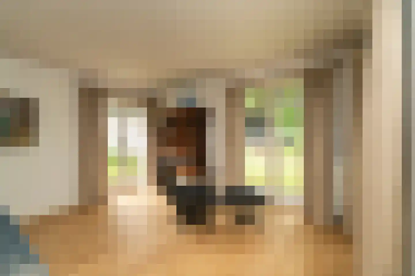 Kasteel Rhoonhof 3 Tilburg thumbnail 12
