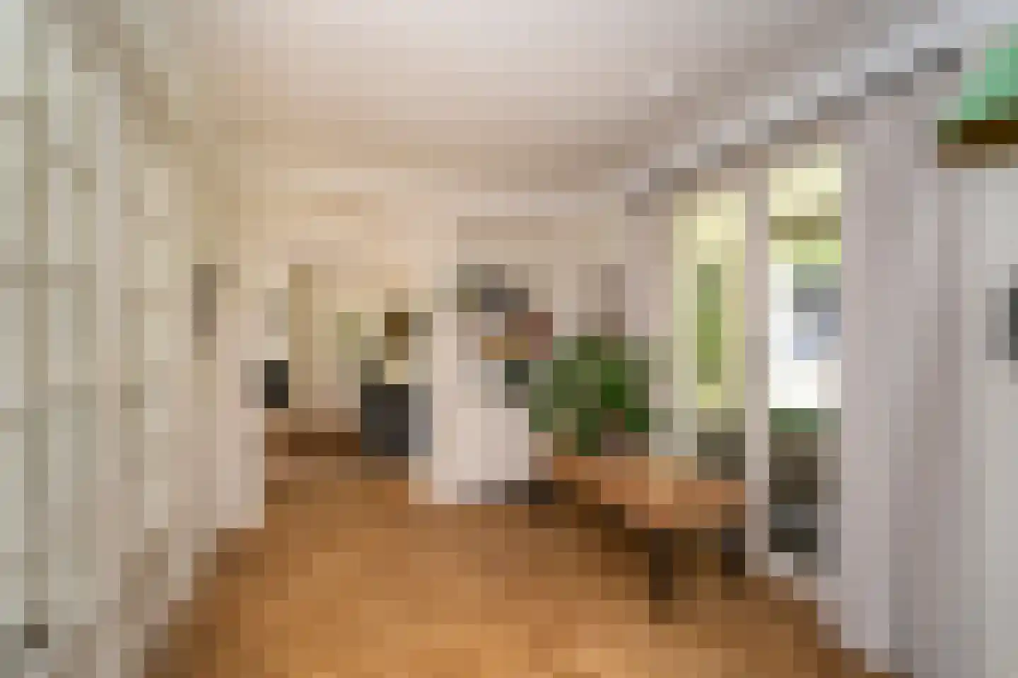 Kasteel Rhoonhof 3 Tilburg thumbnail 15