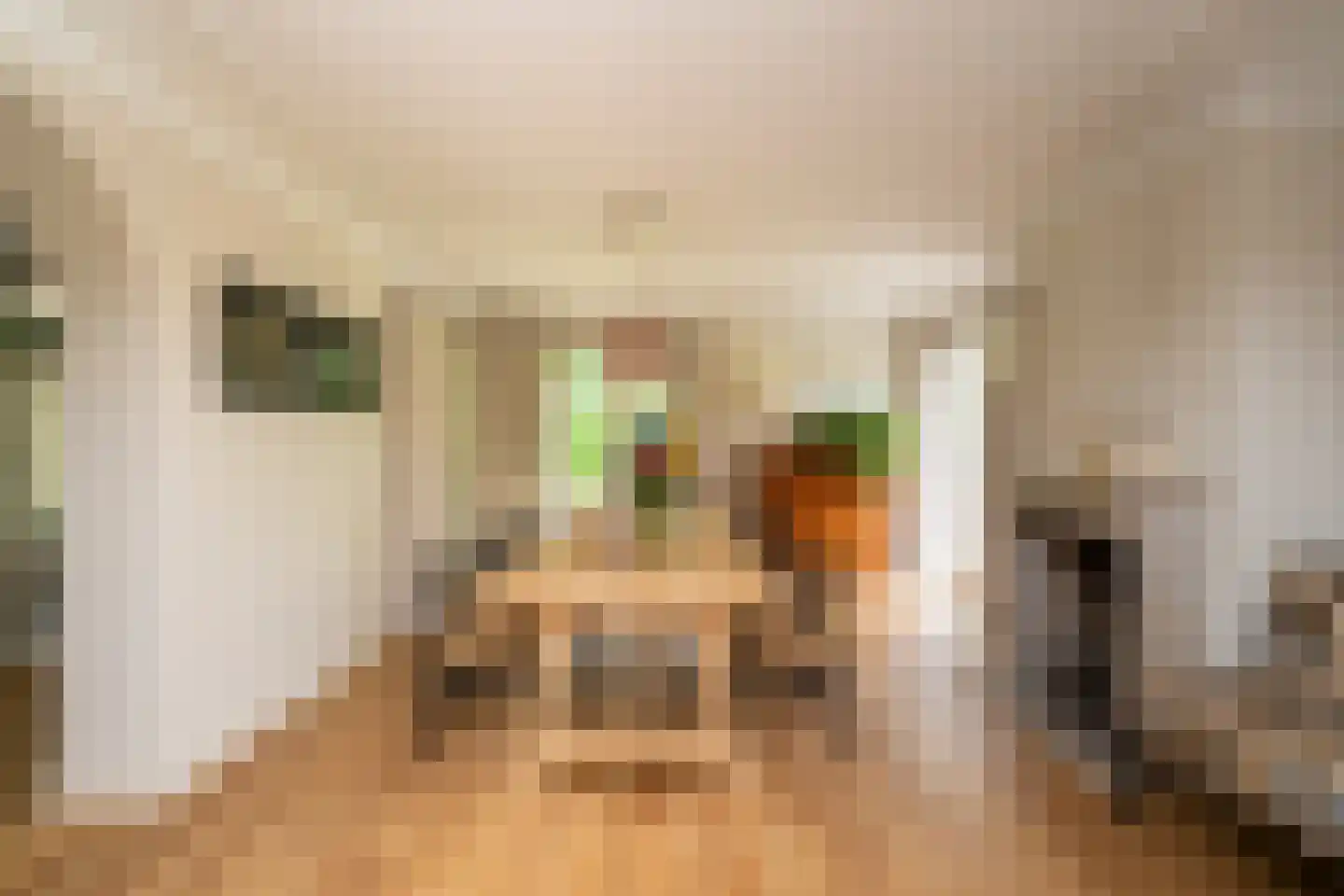 Kasteel Rhoonhof 3 Tilburg thumbnail 17