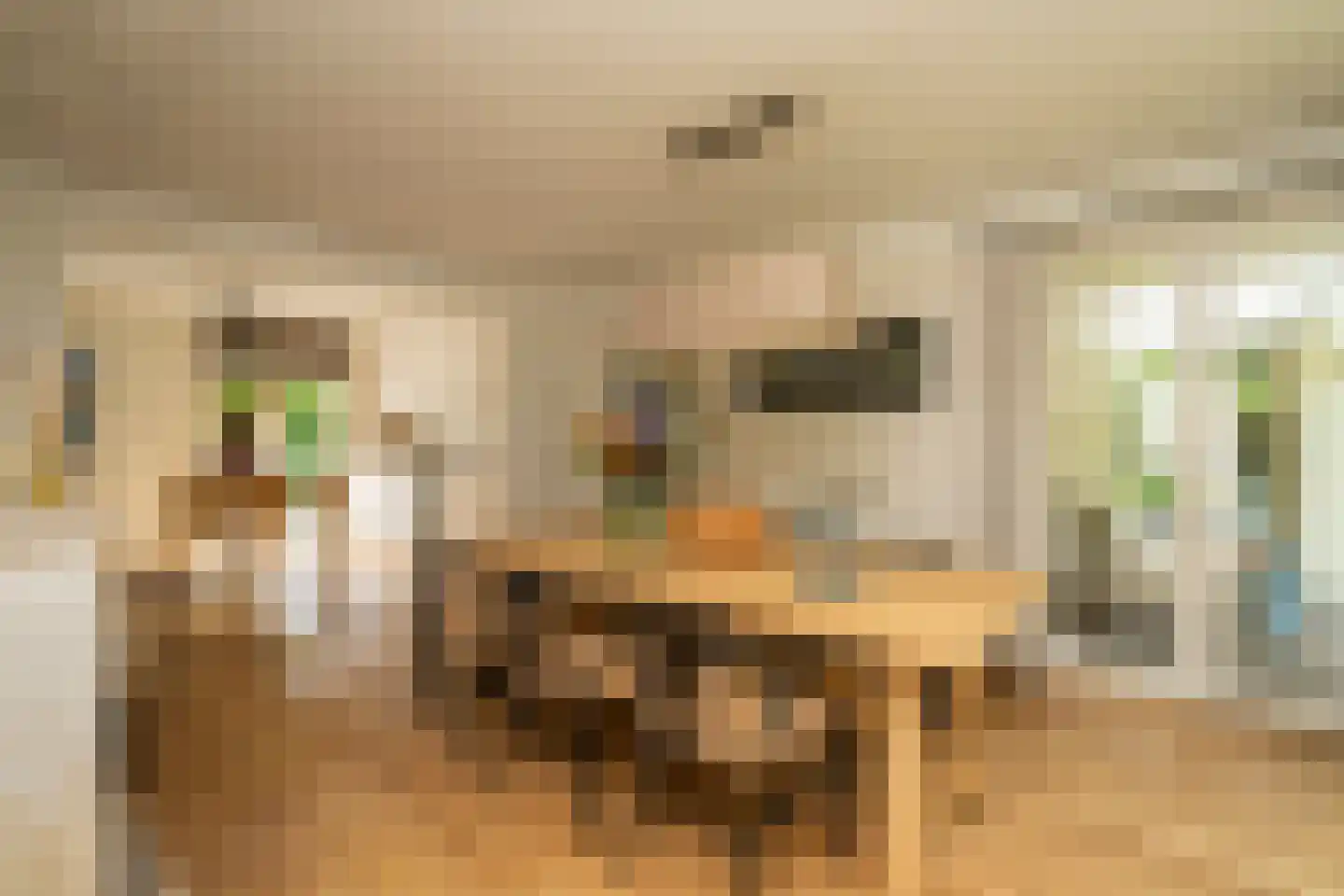 Kasteel Rhoonhof 3 Tilburg thumbnail 20