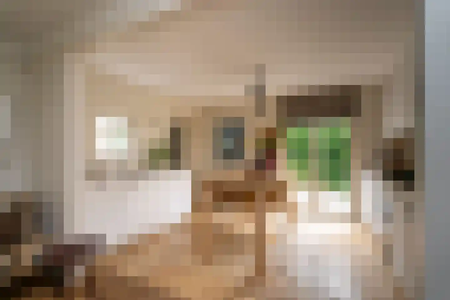 Kasteel Rhoonhof 3 Tilburg thumbnail 21