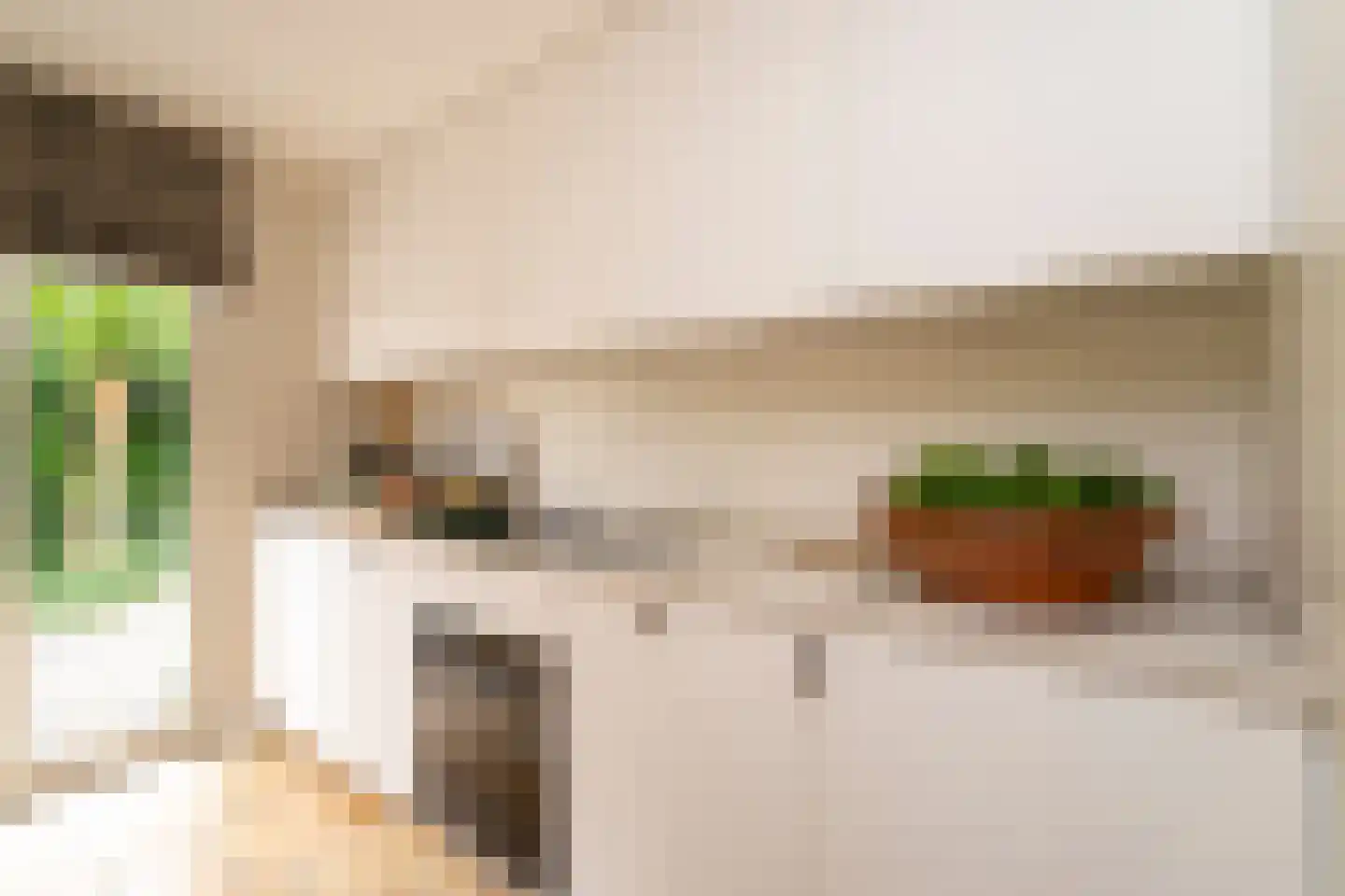 Kasteel Rhoonhof 3 Tilburg thumbnail 22