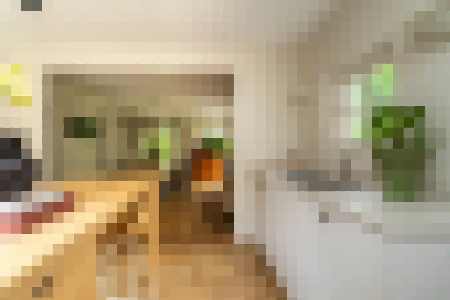 Kasteel Rhoonhof 3 Tilburg thumbnail 24