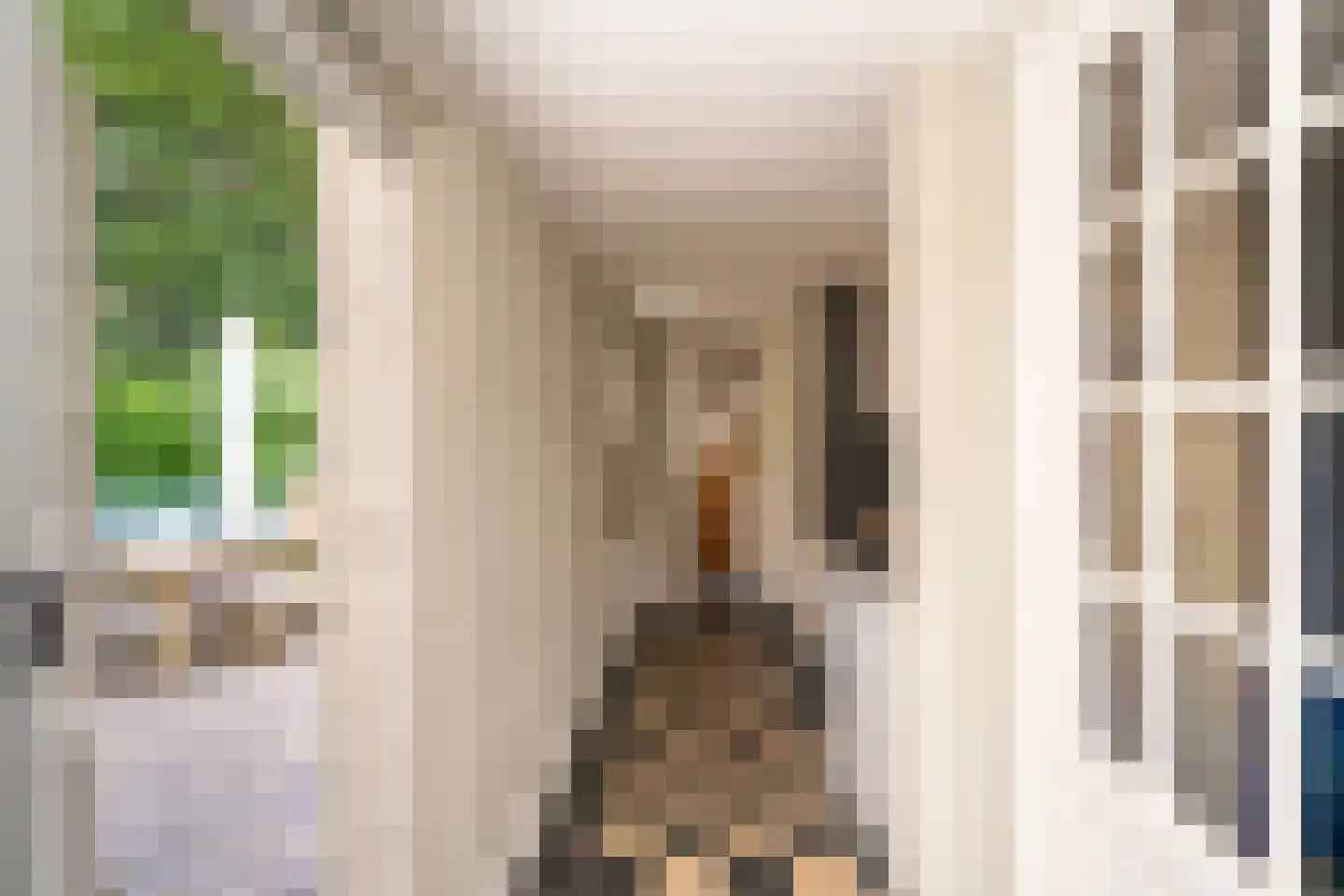 Kasteel Rhoonhof 3 Tilburg thumbnail 25