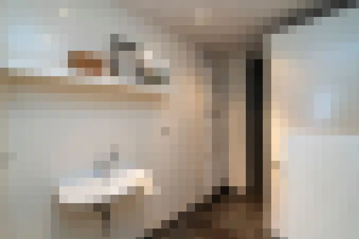 Kasteel Rhoonhof 3 Tilburg thumbnail 27