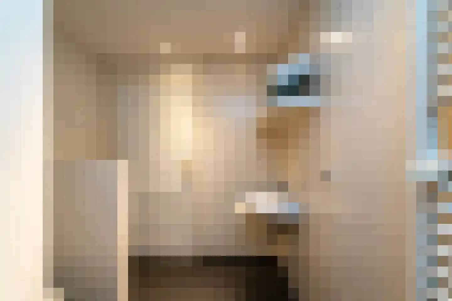 Kasteel Rhoonhof 3 Tilburg thumbnail 30