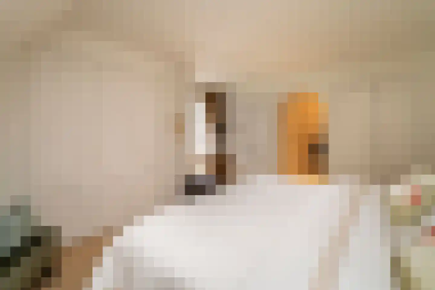 Kasteel Rhoonhof 3 Tilburg thumbnail 32