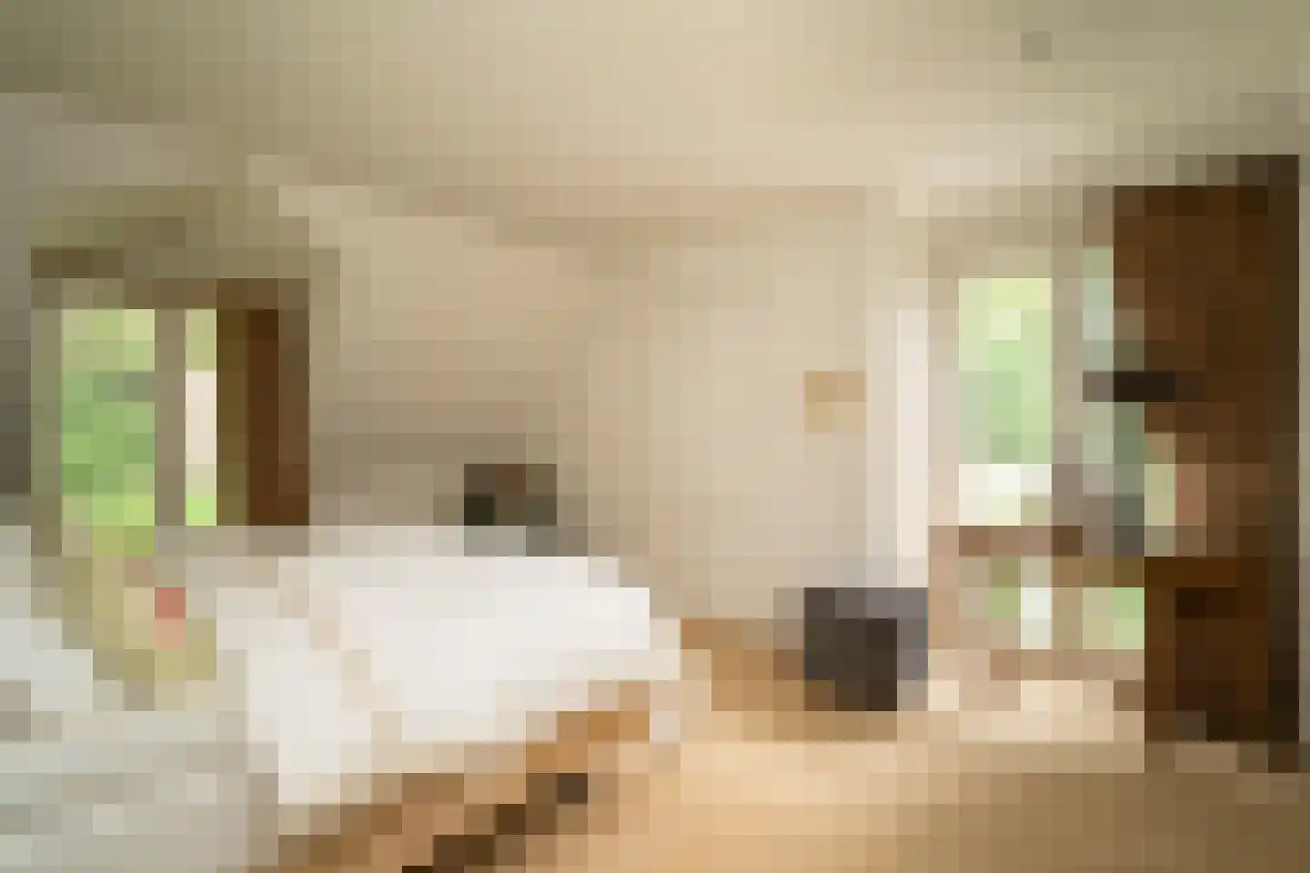 Kasteel Rhoonhof 3 Tilburg thumbnail 33