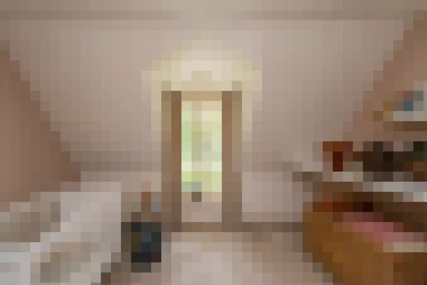 Kasteel Rhoonhof 3 Tilburg thumbnail 40