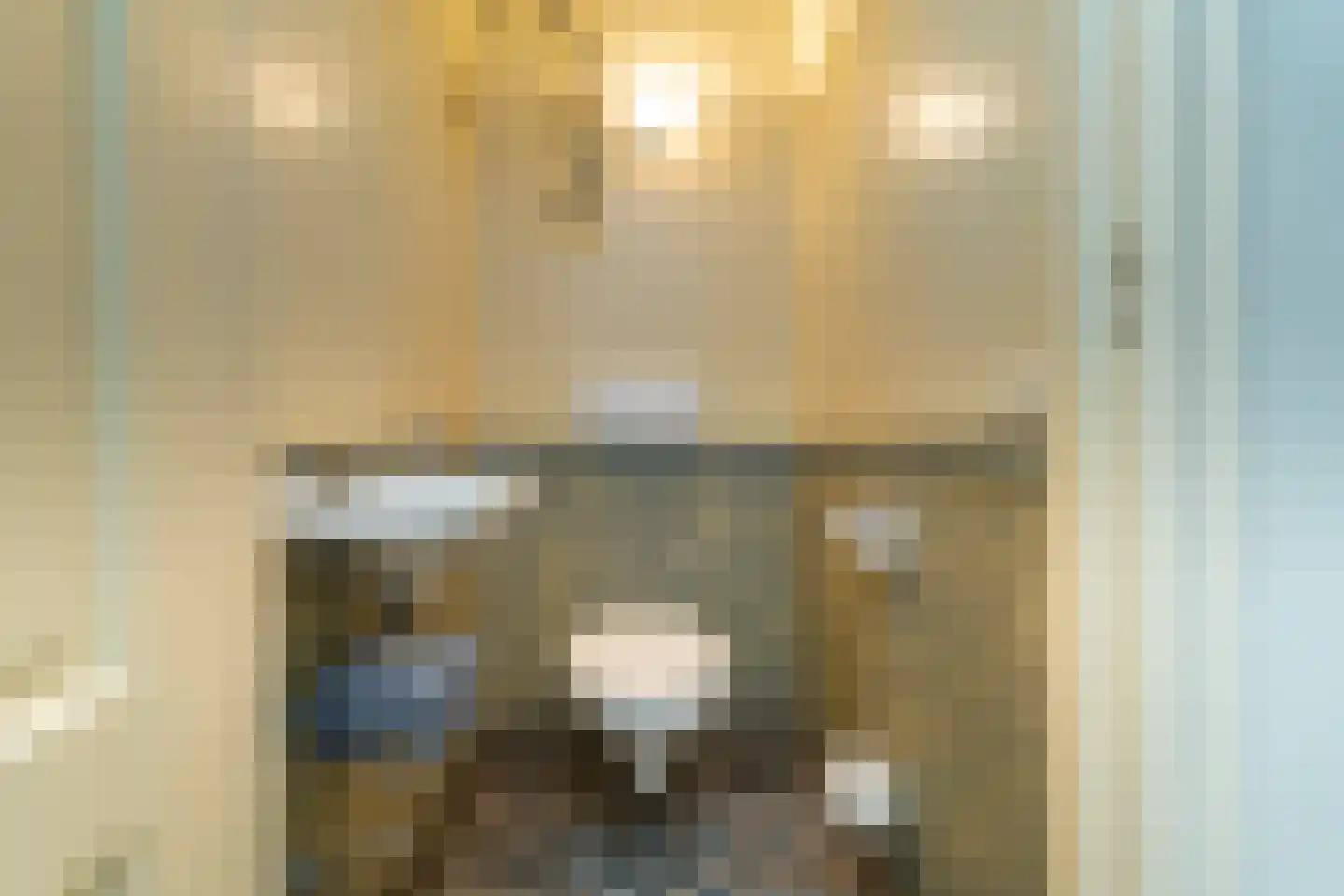 Kasteel Rhoonhof 3 Tilburg thumbnail 42