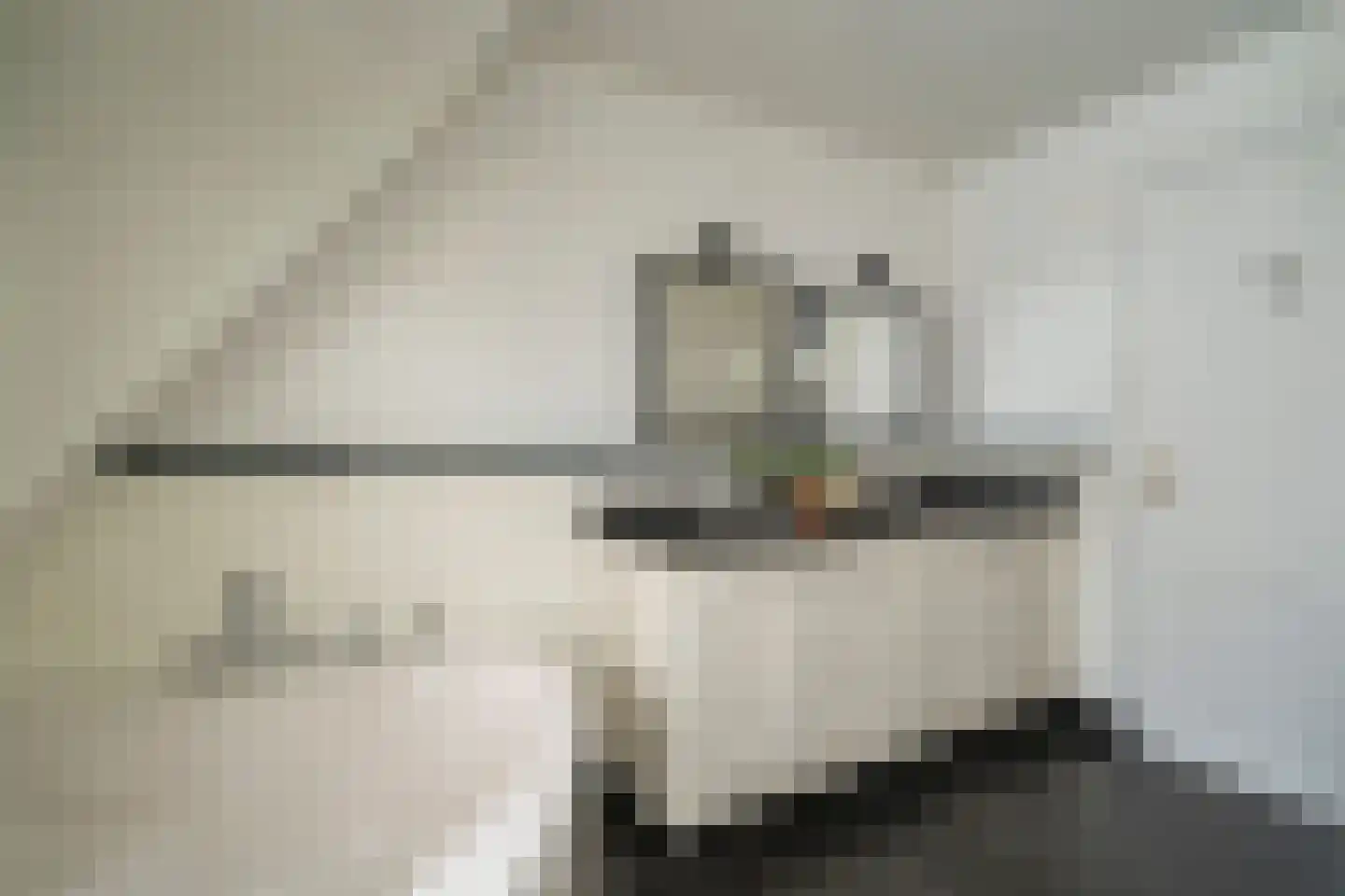 Kasteel Rhoonhof 3 Tilburg thumbnail 50