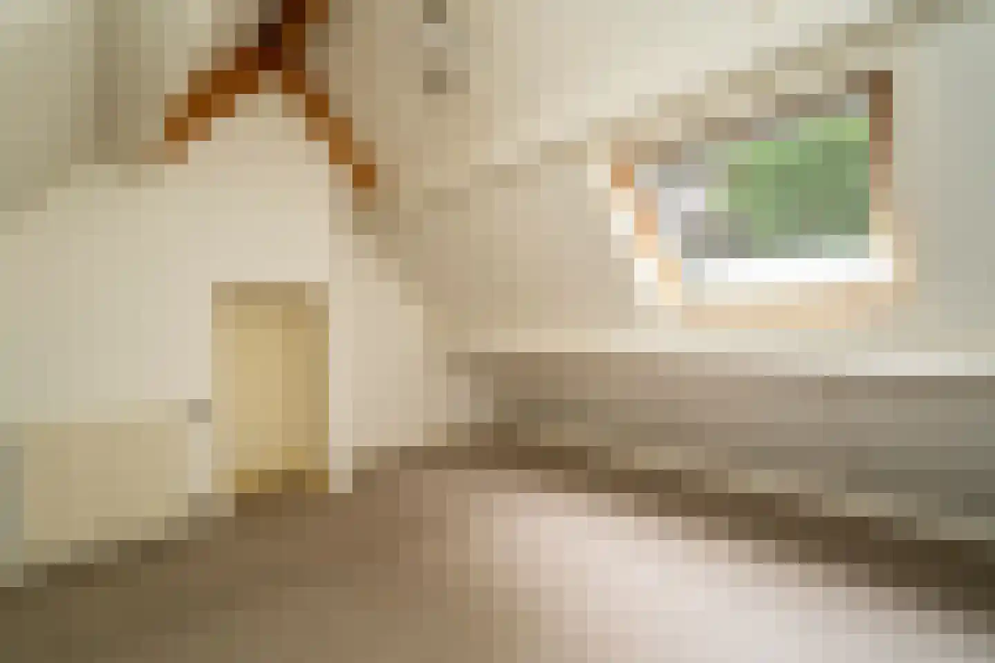 Kasteel Rhoonhof 3 Tilburg thumbnail 53
