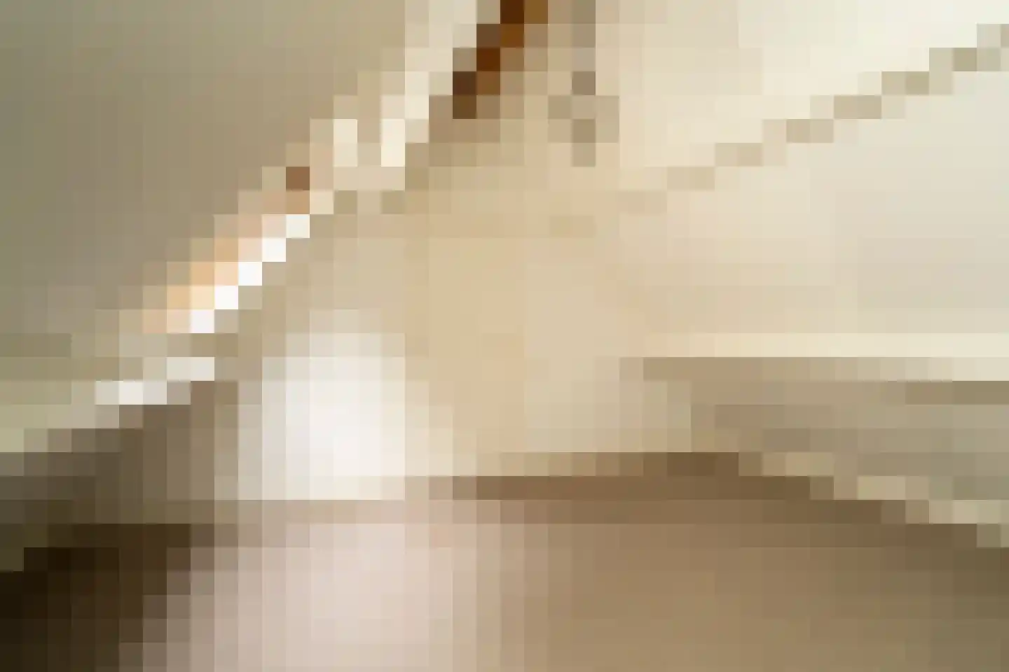 Kasteel Rhoonhof 3 Tilburg thumbnail 54