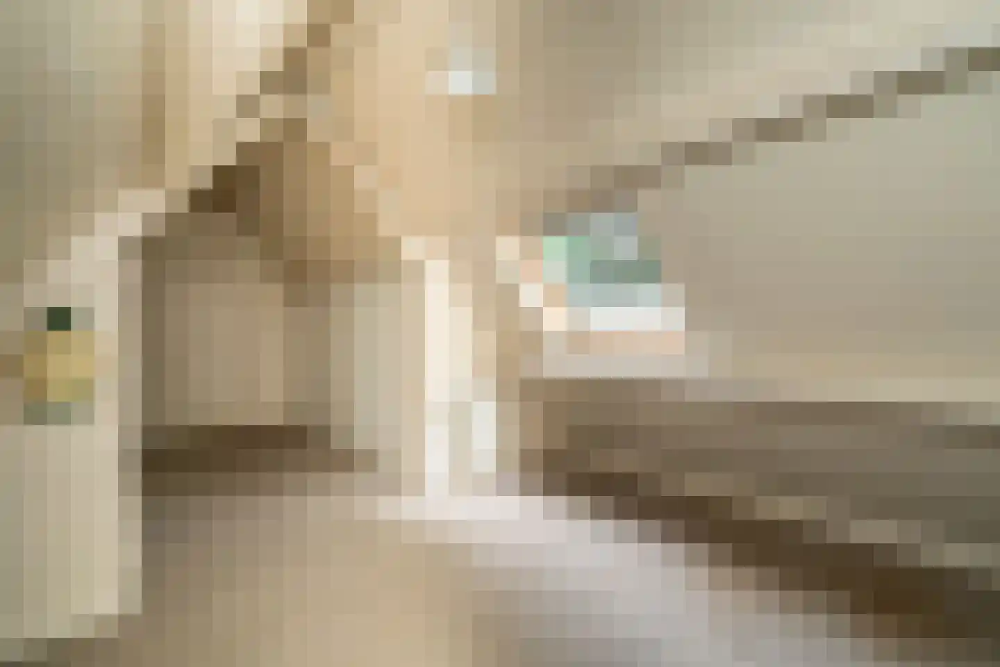 Kasteel Rhoonhof 3 Tilburg thumbnail 57