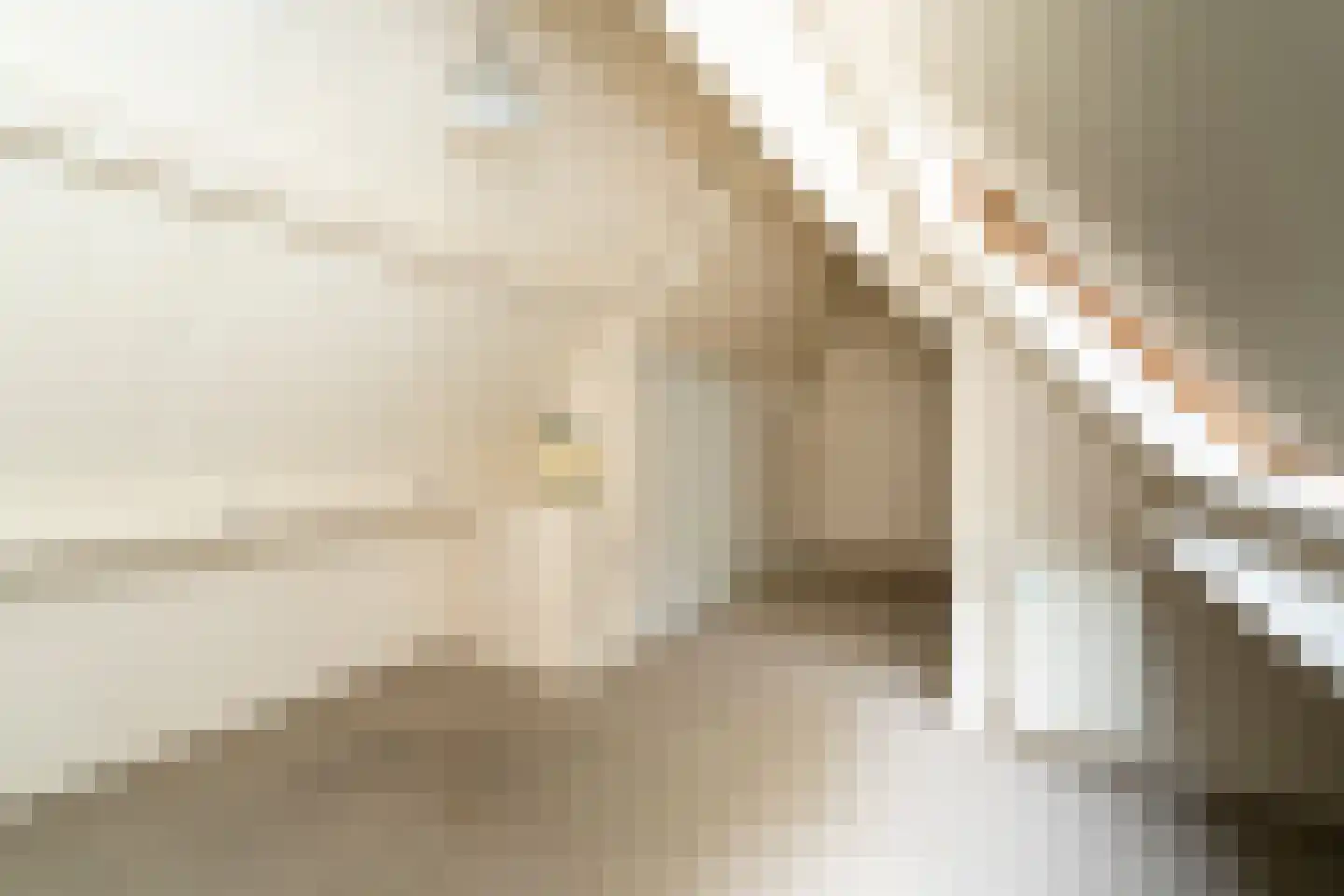 Kasteel Rhoonhof 3 Tilburg thumbnail 58