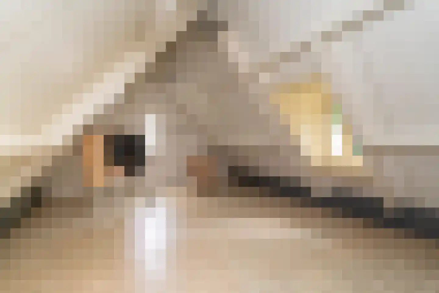 Kasteel Rhoonhof 3 Tilburg thumbnail 59