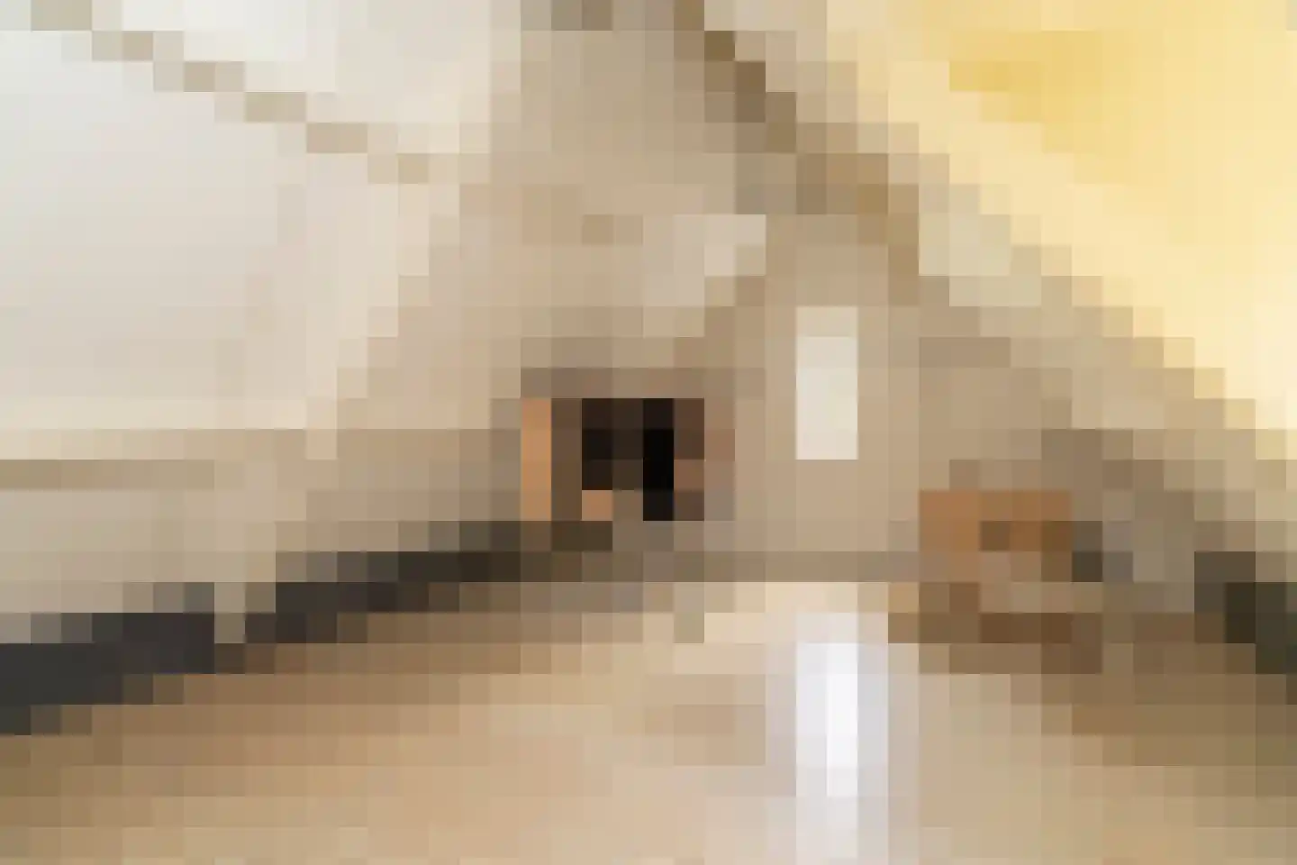 Kasteel Rhoonhof 3 Tilburg thumbnail 60