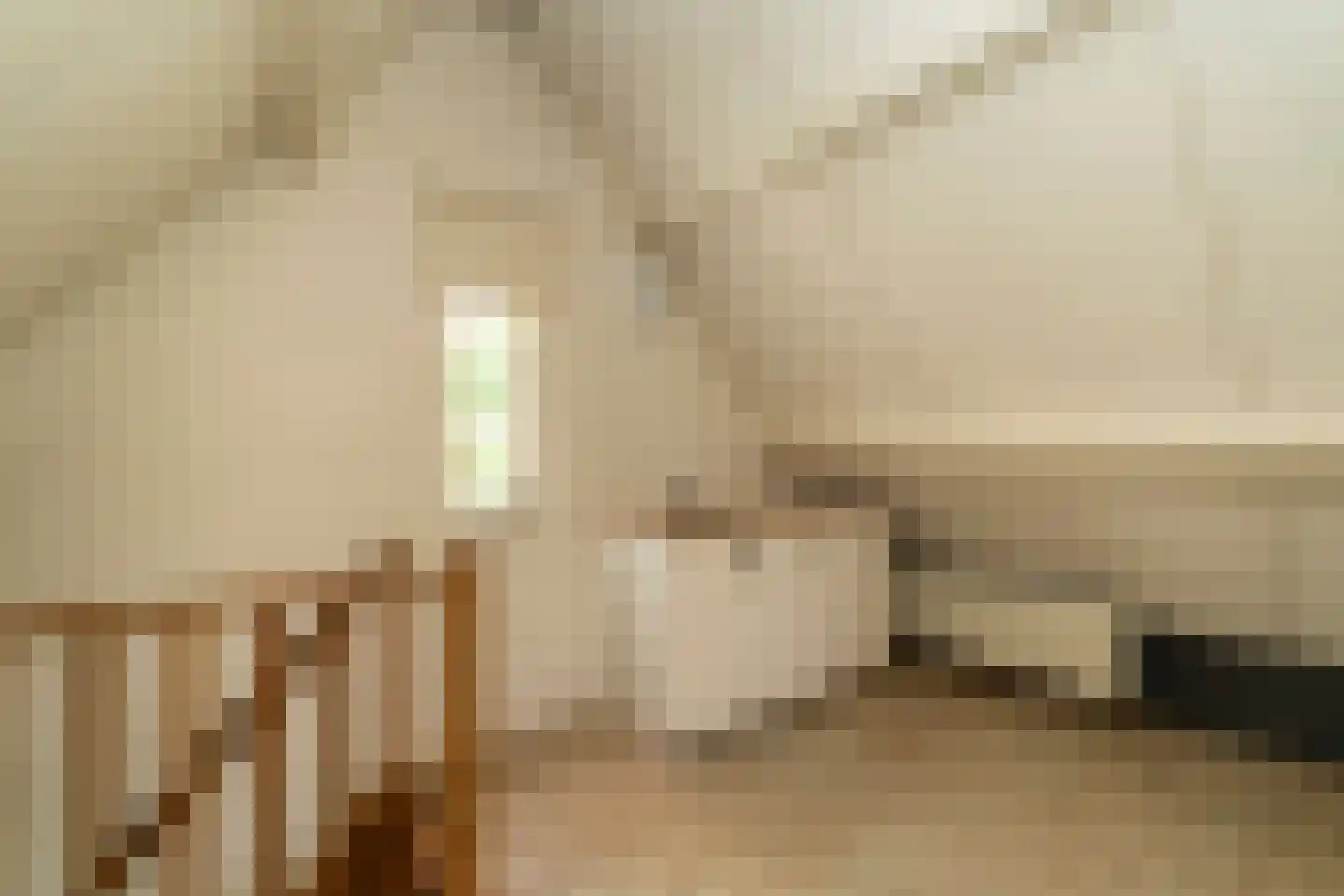 Kasteel Rhoonhof 3 Tilburg thumbnail 62
