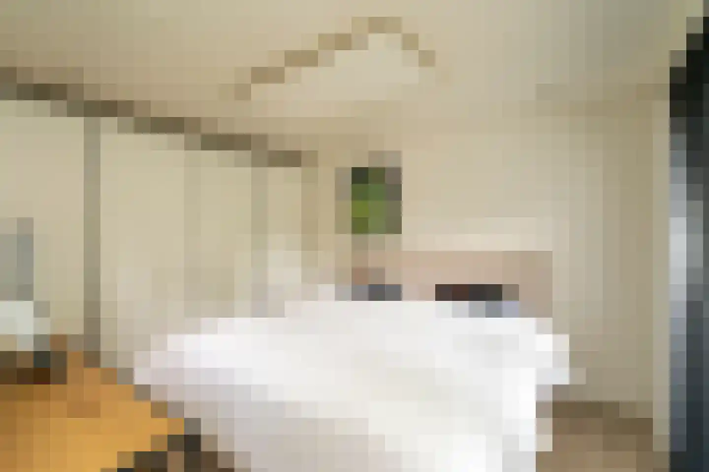Kasteel Rhoonhof 3 Tilburg thumbnail 65