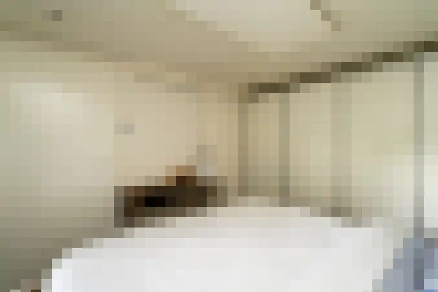 Kasteel Rhoonhof 3 Tilburg thumbnail 66