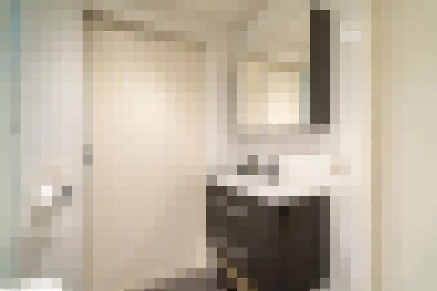 Kasteel Rhoonhof 3 Tilburg thumbnail 69