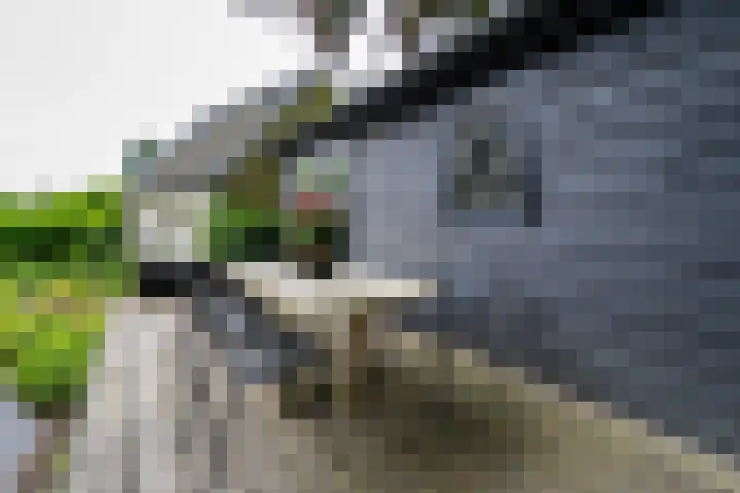 Kasteel Rhoonhof 3 Tilburg thumbnail 74