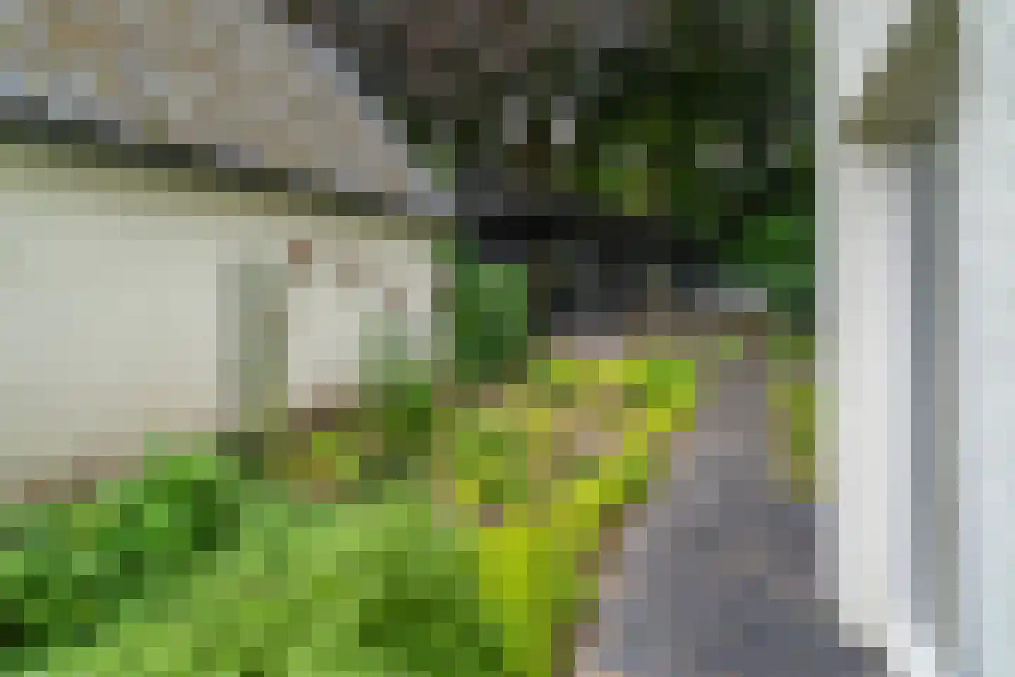 Kasteel Rhoonhof 3 Tilburg thumbnail 84