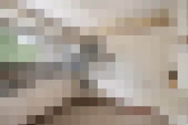 Kasteel Strijenerf 57 Tilburg thumbnail 31