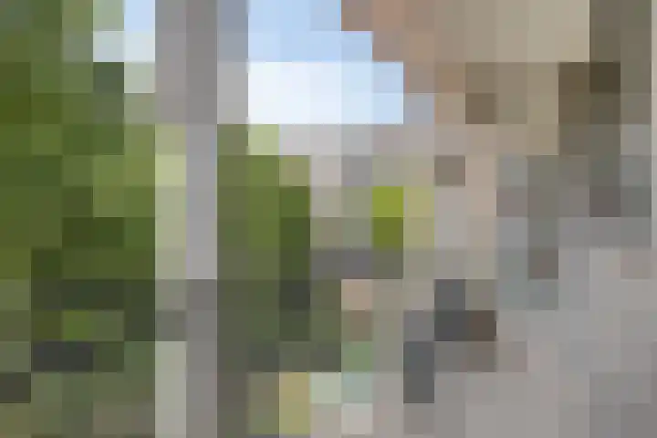 Kasteel Strijenerf 57 Tilburg thumbnail 34