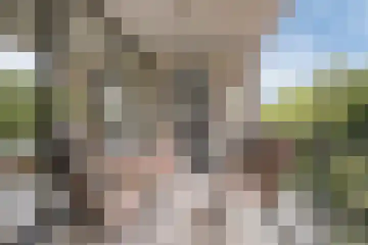 Kasteel Strijenerf 57 Tilburg thumbnail 35