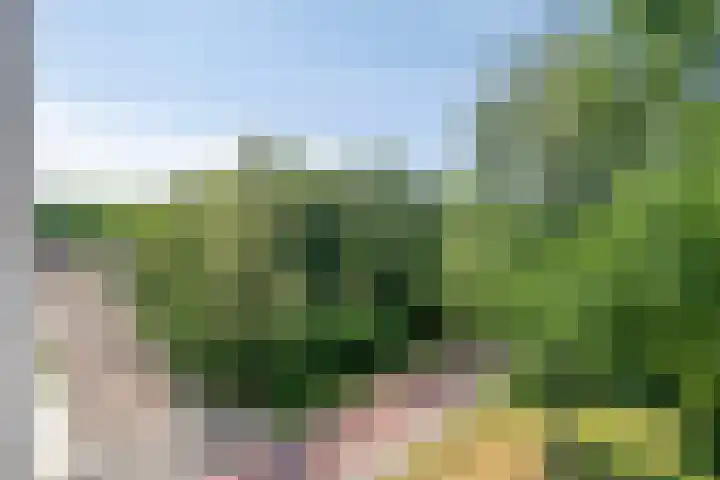 Kasteel Strijenerf 57 Tilburg thumbnail 36