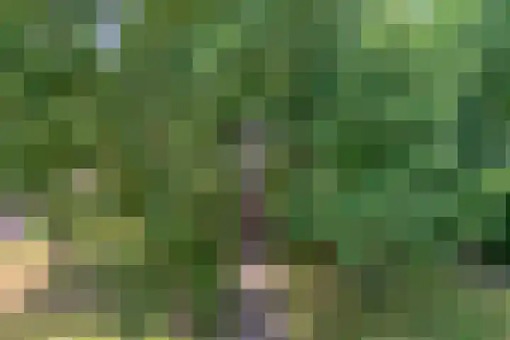 Kasteel Strijenerf 57 Tilburg thumbnail 38
