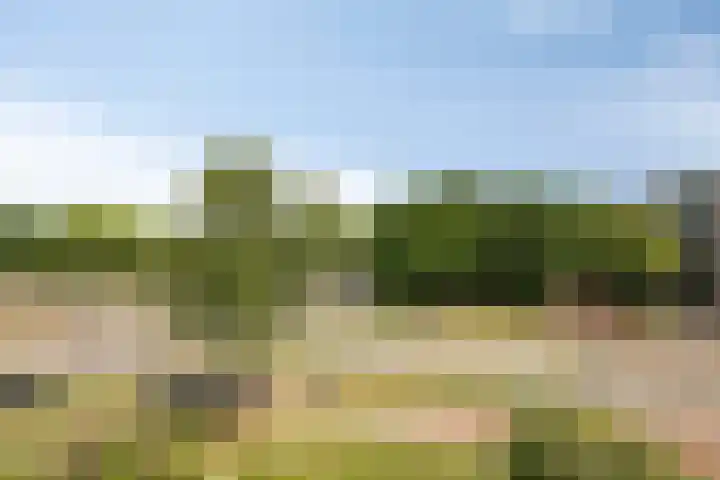 Kasteel Strijenerf 57 Tilburg thumbnail 40