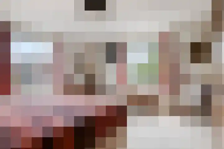 Kasteel Strijenerf 57 Tilburg thumbnail 42