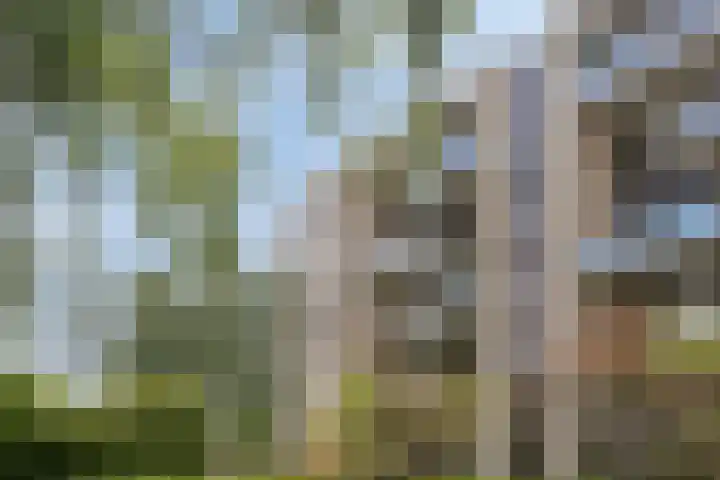 Kasteel Strijenerf 57 Tilburg thumbnail 9